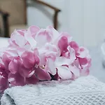 فيلة Ocean Breeze